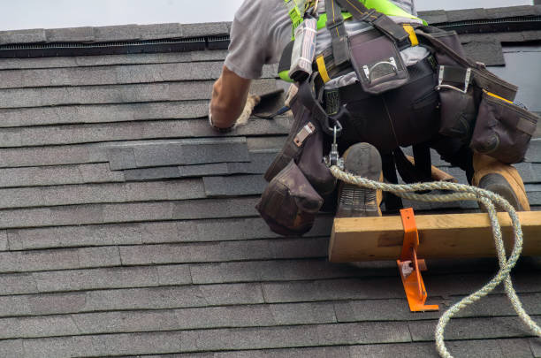 Best Chimney Flashing Repair  in Memphis, FL