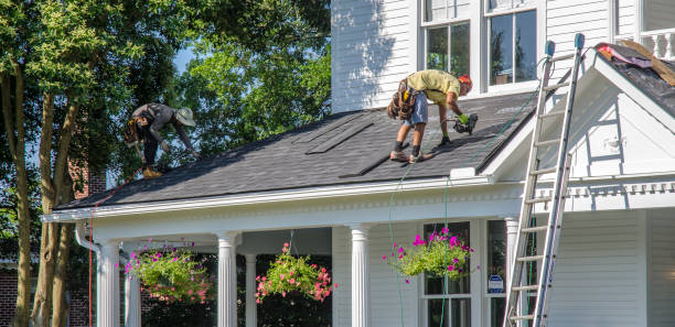 Best Roof Leak Repair  in Memphis, FL